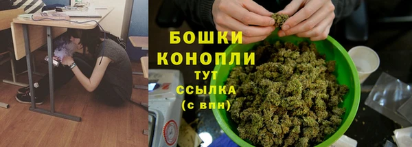прущая мука Инта