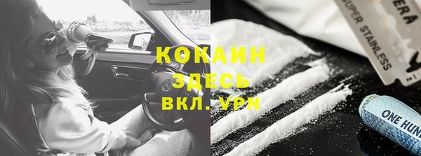метадон Каменка