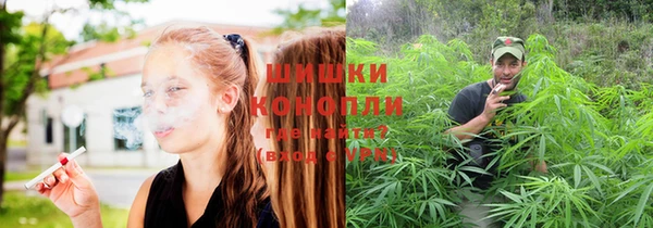 метадон Каменка