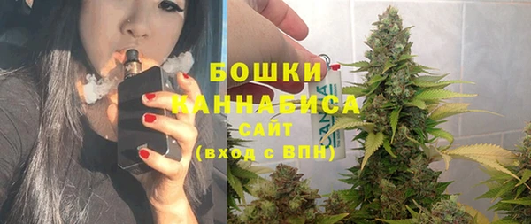 метадон Каменка