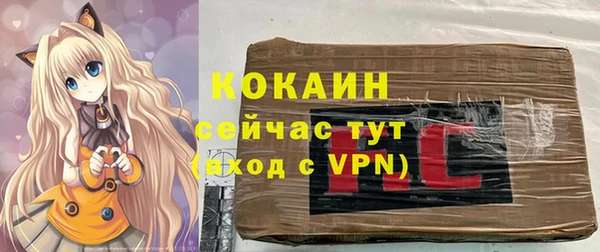 метадон Каменка